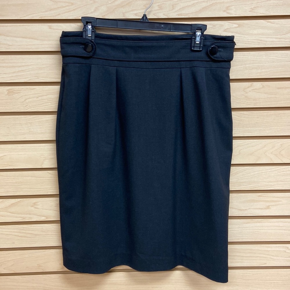 Paniz dressy rich looking women skirt Size 12
